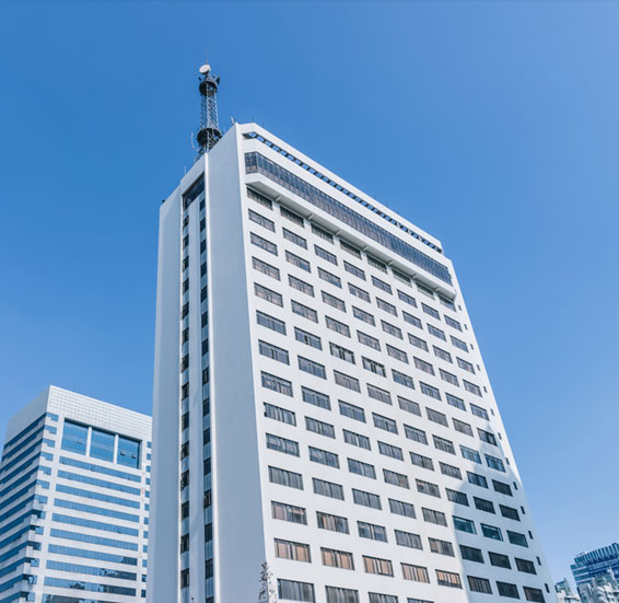 陜西春樹實業有限公司